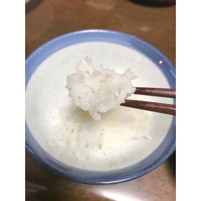 画像4: 精米3kg×2 新米 令和7年産 ちばエコ認証コシヒカリ多古米(精米)3kg袋×2