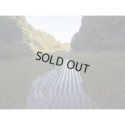 画像7: 多古米＆多古の粒（粒すけ）食べ比べセット　新米！令和5年産　特別栽培米コシヒカリ多古米（精米）3kg・特別栽培米粒すけ（精米）3kg