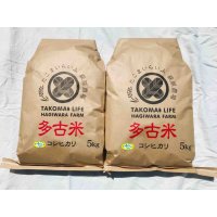 精米10kg　令和3年産　特別栽培米コシヒカリ多古米（精米）10ｋｇ（5kg袋×2）