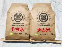 精米10kg　新米　令和4年産　特別栽培米コシヒカリ多古米（精米）10ｋｇ（5kg袋×2）