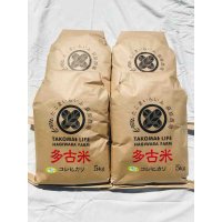 精米20kg　新米　令和4年産　特別栽培米コシヒカリ多古米（精米）20kg（5kg袋×4）