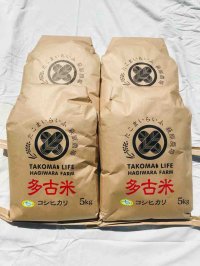 精米20kg　　令和4年産　特別栽培米コシヒカリ多古米（精米）20kg（5kg袋×4）