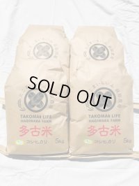 精米20kg　新米　令和6年産　特別栽培米コシヒカリ多古米（精米）20kg（5kg袋×4）