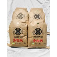 【玄米】20kg　　令和4年産 　特別栽培米コシヒカリ多古米（玄米）20kg（5kg袋×4）