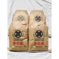 精米10kg玄米10kg  　令和3年産　特別栽培米コシヒカリ多古米　精米10kg（5kg袋×2）玄米10kg（5kg袋×2）