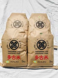 精米10kg玄米10kg  　　令和4年産　特別栽培米コシヒカリ多古米　精米10kg（5kg袋×2）玄米10kg（5kg袋×2）