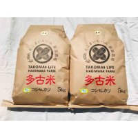 玄米10kg　新米　令和4年産　特別栽培米コシヒカリ多古米（玄米）10kg（5kg袋×2）