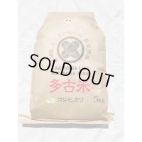 【玄米】5kg　令和6年産　特別栽培米コシヒカリ多古米【玄米】５ｋｇ