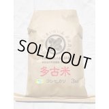 精米3kg　令和6年産　特別栽培米コシヒカリ多古米（精米）3kg