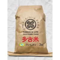 精米3kg　新米　令和4年産　特別栽培米コシヒカリ多古米（精米）3kg