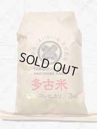 精米3kg　令和6年産　特別栽培米コシヒカリ多古米（精米）3kg