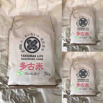 画像1: 精米3kg×3　新米　令和4年産　　特別栽培米コシヒカリ多古米（精米）3kg袋×3