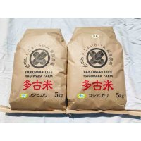 精米5kg玄米5kg　　令和4年産　特別栽培米コシヒカリ多古米（精米・玄米セット）5kg×2