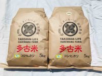 精米5kg玄米5kg　新米　令和4年産　特別栽培米コシヒカリ多古米（精米・玄米セット）5kg×2