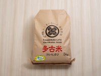 精米5kg　　令和4年産　特別栽培米コシヒカリ多古米（精米）５ｋｇ
