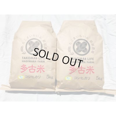 画像5: 多古の粒　令和6年産　特別栽培米　粒すけ多古の粒（精米）10kg