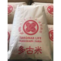 精米30kg　送料無料　新米　令和7年産　ちばエコ認証コシヒカリ多古米（精米）30kg