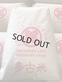 【玄米】30kg 送料無料　新米　令和6年産　特別栽培米コシヒカリ多古米【玄米】30kg