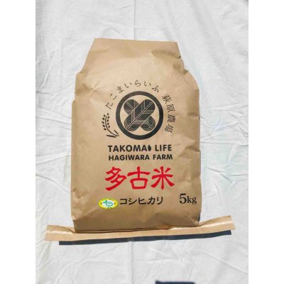 画像10: 精米30kg　送料無料　新米　令和7年産　ちばエコ認証コシヒカリ多古米（精米）30kg