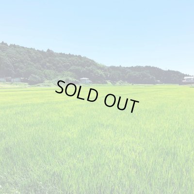 画像5: 多古の粒 令和6年産 特別栽培米 粒すけ多古の粒(精米)3kg