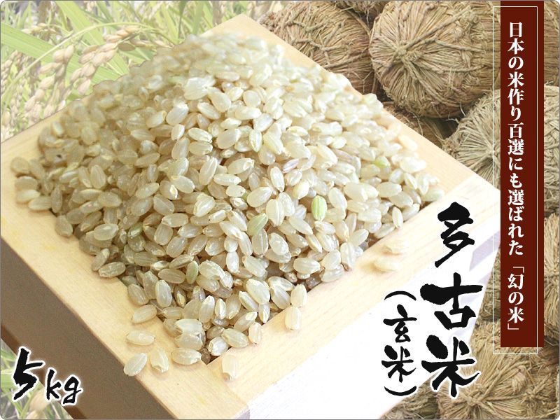 玄米5kg 令和元年産 新米 特別栽培米コシヒカリ多古米（玄米）5kg - たこまいらいふ萩原農場