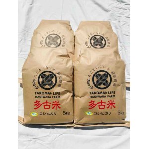 画像: 精米20kg　令和3年産　特別栽培米コシヒカリ多古米（精米）20kg（5kg袋×4）