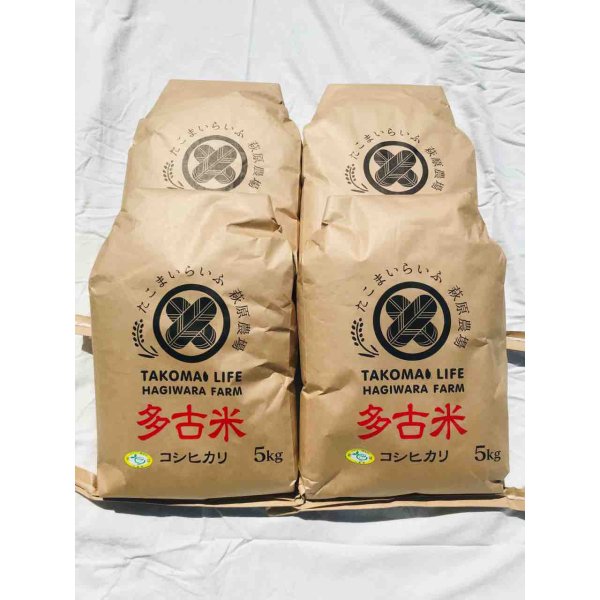 画像1: 精米20kg　令和5年産　特別栽培米コシヒカリ多古米（精米）20kg（5kg袋×4） (1)