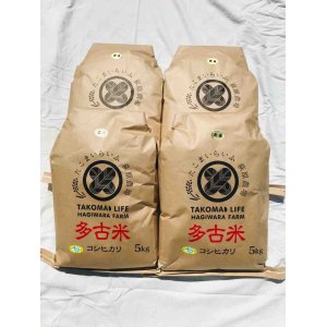 画像: 【玄米】20kg　令和3年産 　特別栽培米コシヒカリ多古米（玄米）20kg（5kg袋×4）