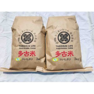 画像: 精米3kg×2　令和5年産　特別栽培米コシヒカリ多古米（精米）3kg袋×2