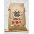 画像1: 精米3kg　令和5年産　特別栽培米コシヒカリ多古米（精米）3kg (1)