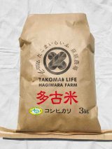 画像: 精米3kg　令和5年産　特別栽培米コシヒカリ多古米（精米）3kg