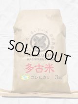 画像: 精米3kg　令和6年産　特別栽培米コシヒカリ多古米（精米）3kg