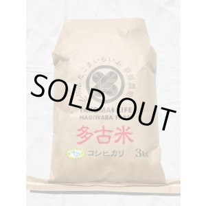 画像: 精米3kg　令和6年産　特別栽培米コシヒカリ多古米（精米）3kg