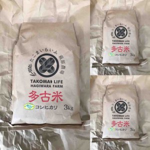 画像: 精米3kg×3　令和3年産　　特別栽培米コシヒカリ多古米（精米）3ｋｇ袋×3