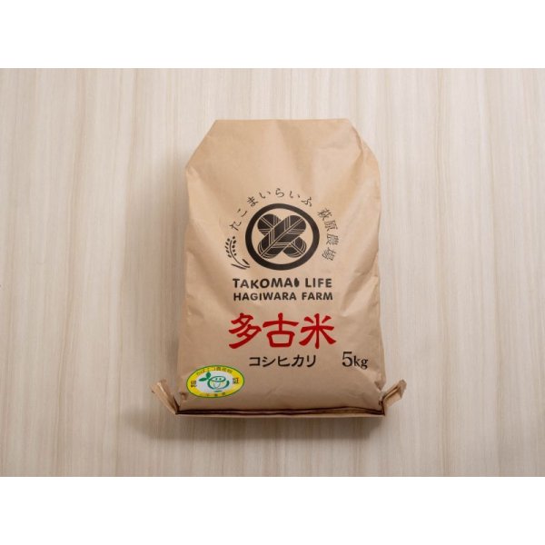 画像1: 精米5kg　令和5年産　特別栽培米コシヒカリ多古米（精米）５ｋｇ (1)