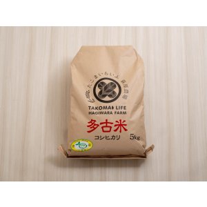 画像: 精米10kg玄米10kg  　新米　令和7年産　ちばエコ認証コシヒカリ多古米　精米10kg（5kg袋×2）玄米10kg（5kg袋×2）
