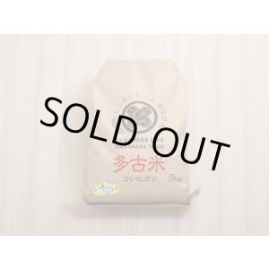 画像: 精米10kg　新米　令和7年産　ちばエコ認証コシヒカリ多古米（精米）10ｋｇ（5kg袋×2）