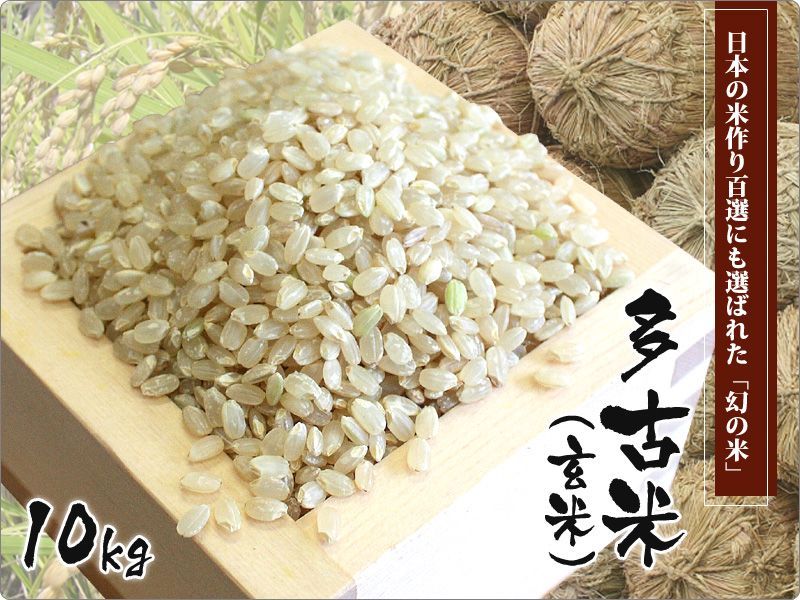 コシヒカリ　多古米　10kg　米　幻の米　玄米
